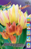 Тюльпан Антуанетта, многоцв. (7)
